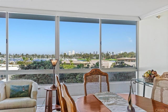 sunroom with a healthy amount of sunlight