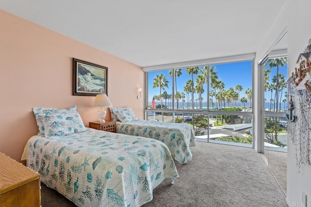 carpeted bedroom with a wall of windows and multiple windows