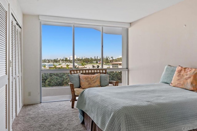 view of carpeted bedroom