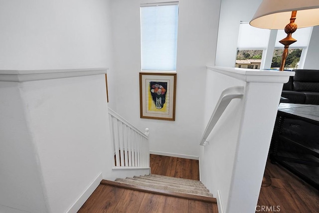 stairway featuring wood-type flooring