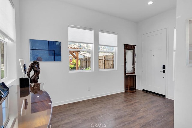 entryway featuring plenty of natural light and dark hardwood / wood-style flooring