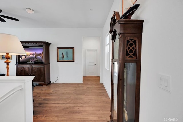 corridor featuring light hardwood / wood-style floors