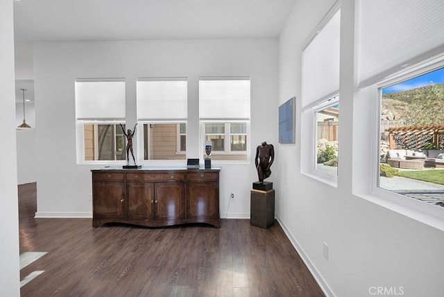 interior space with dark brown cabinets and dark hardwood / wood-style floors