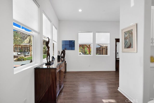 hallway featuring dark hardwood / wood-style flooring