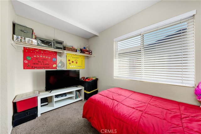 bedroom with carpet flooring