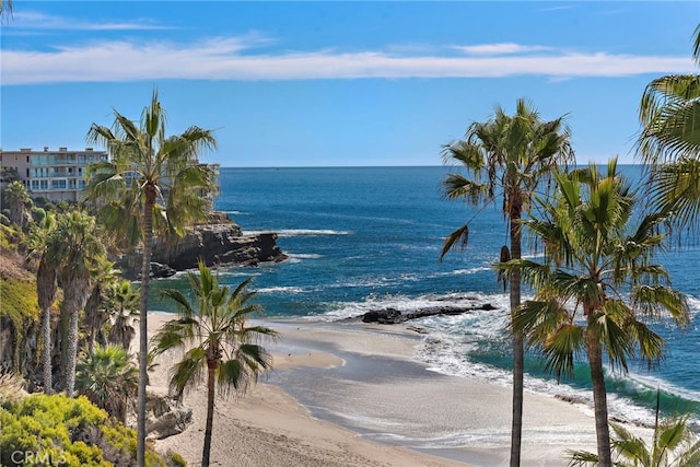 view of water feature featuring a beach view