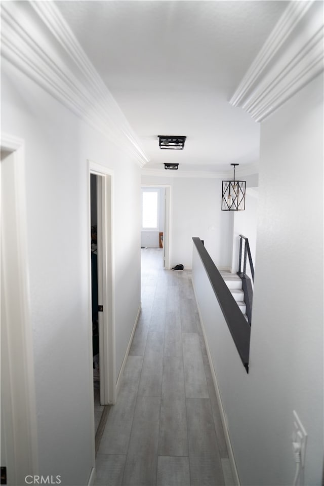 hallway featuring wood-type flooring