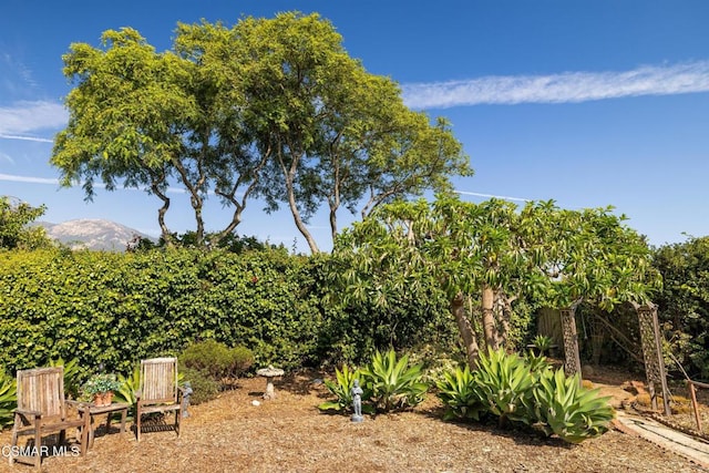 view of yard featuring a mountain view