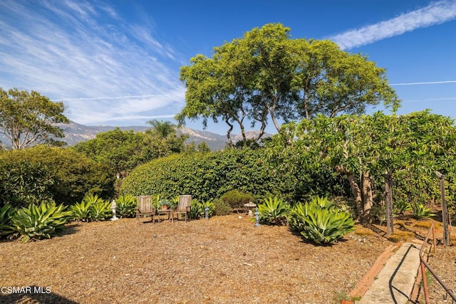 view of yard with a mountain view