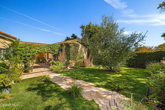 view of yard with a patio