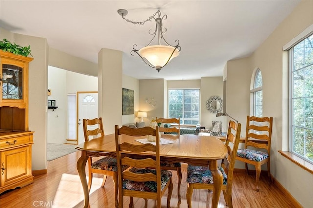 dining space with light hardwood / wood-style floors and a healthy amount of sunlight