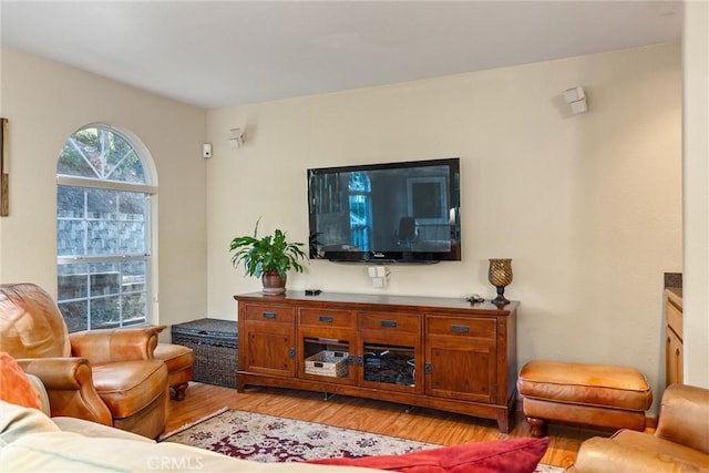 living room with light wood-type flooring