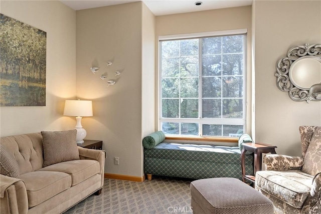 sitting room with carpet flooring