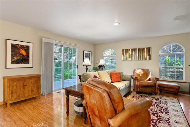 living room featuring plenty of natural light and light wood-type flooring