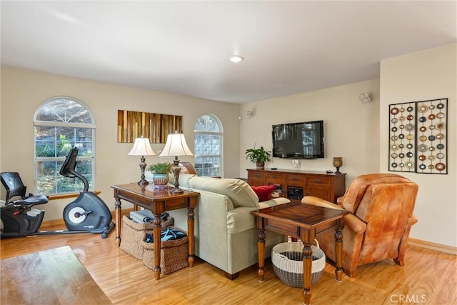 living room featuring a healthy amount of sunlight and light wood-type flooring