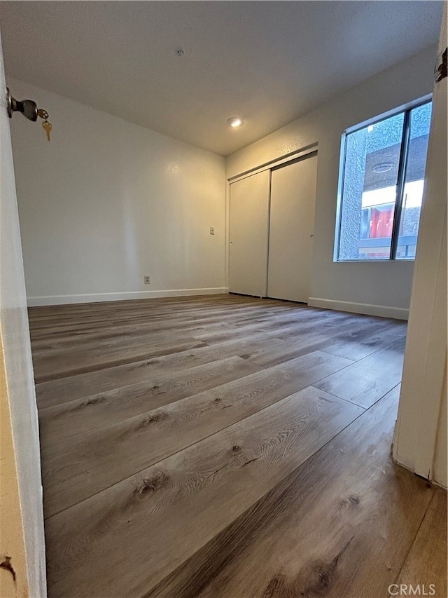 interior space with a closet and wood-type flooring