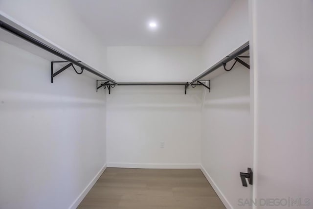 spacious closet featuring wood-type flooring