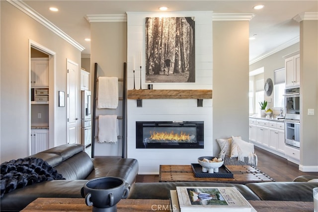 living room with ornamental molding, a fireplace, and dark hardwood / wood-style flooring