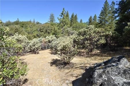 0 Indian Cemetary Rd, Berry Creek CA, 95916 land for sale