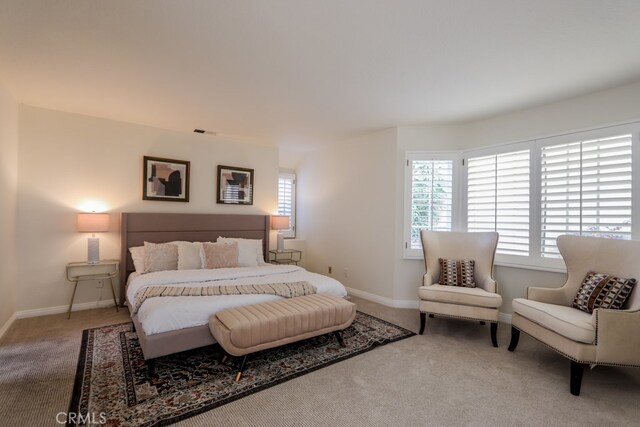 bedroom with carpet flooring