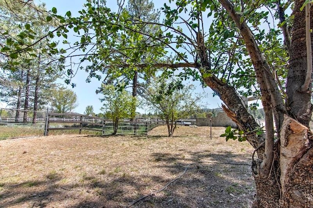 view of yard with a rural view