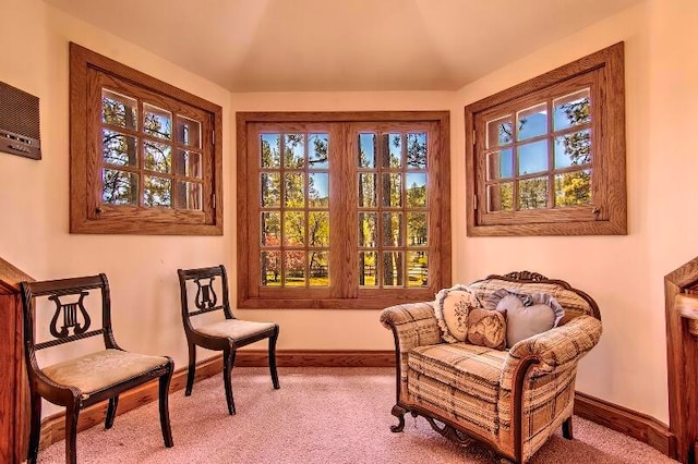 living area with light colored carpet and a wealth of natural light