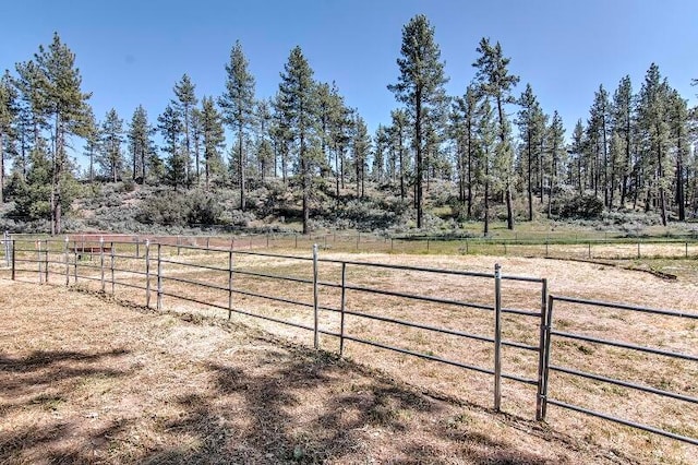 view of yard featuring a rural view