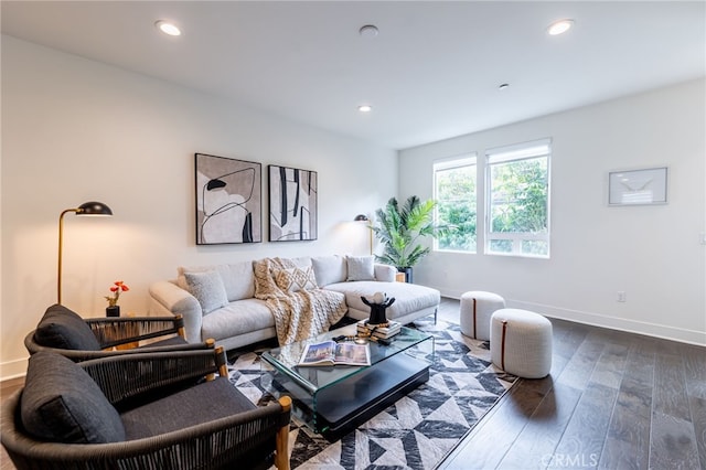 living room with dark hardwood / wood-style floors