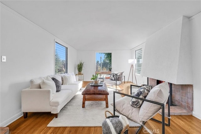 living room with hardwood / wood-style floors and plenty of natural light