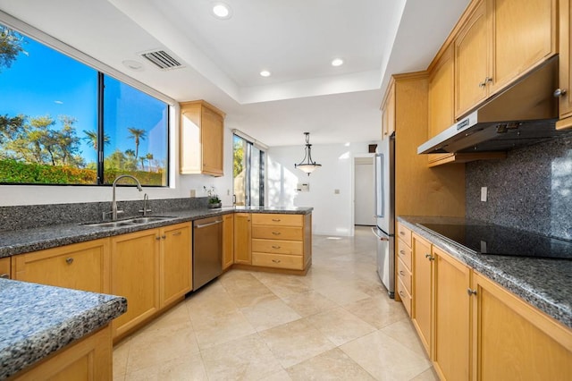 kitchen featuring sink, stainless steel appliances, a raised ceiling, backsplash, and pendant lighting