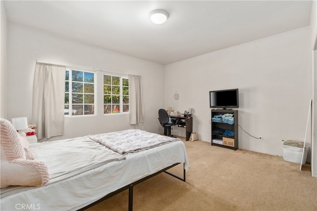 bedroom with light carpet