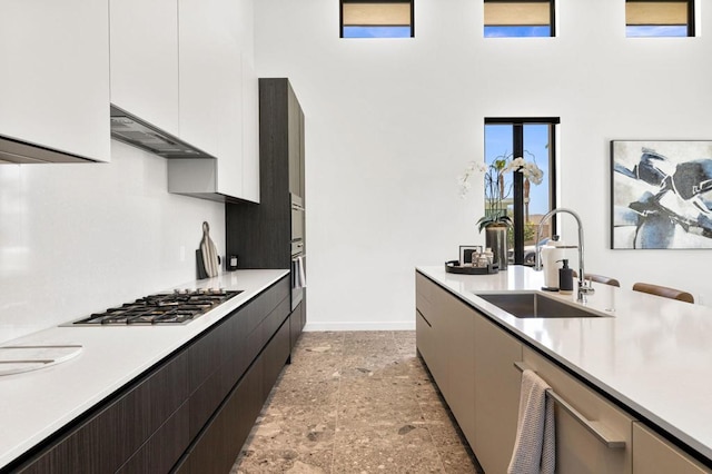 kitchen with white cabinetry, stainless steel appliances, sink, and ventilation hood