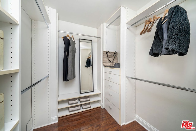 spacious closet with dark wood-type flooring