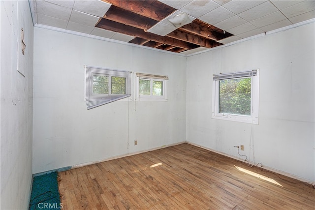 spare room with crown molding and hardwood / wood-style floors