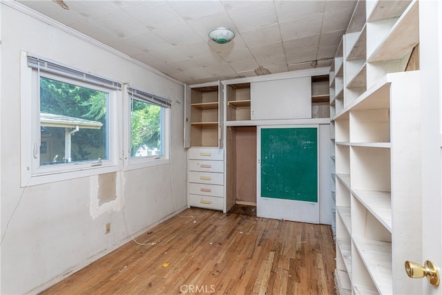 spacious closet with wood-type flooring