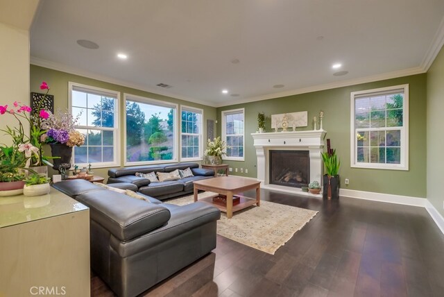 living room featuring plenty of natural light, crown molding, and dark wood-type flooring