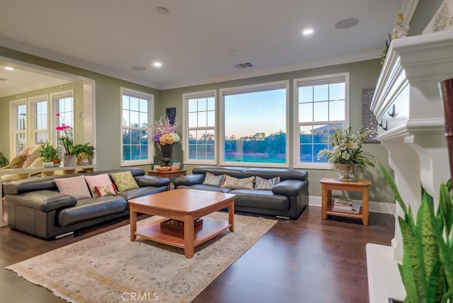 interior space featuring a wealth of natural light, crown molding, and dark hardwood / wood-style floors