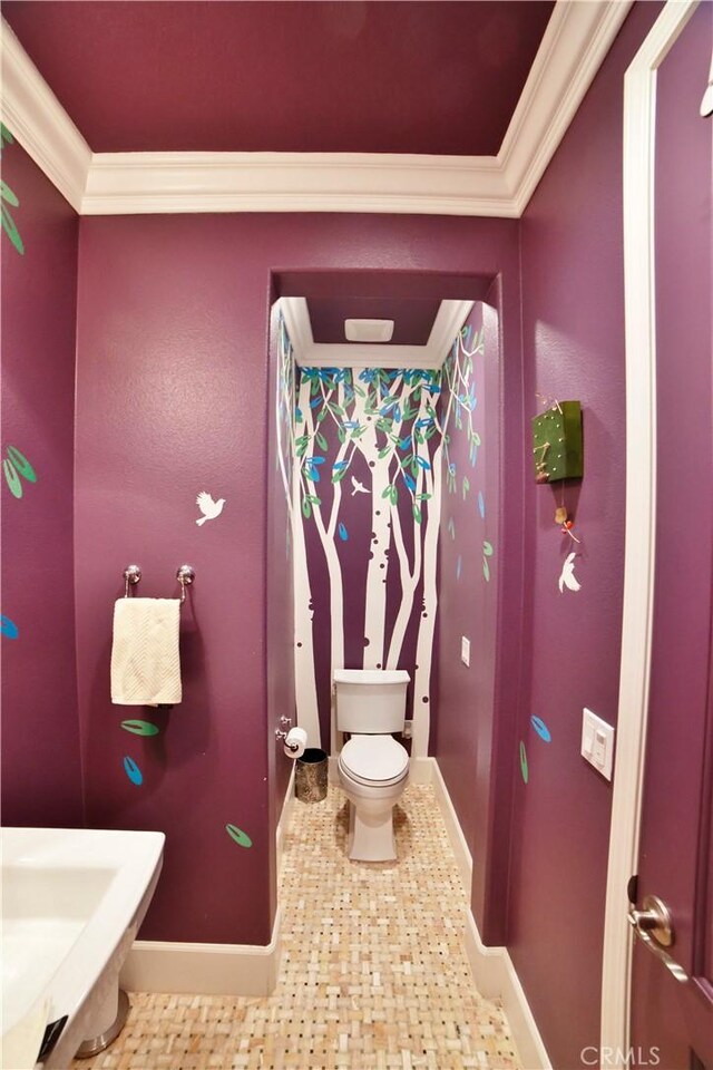 bathroom featuring toilet, ornamental molding, and sink