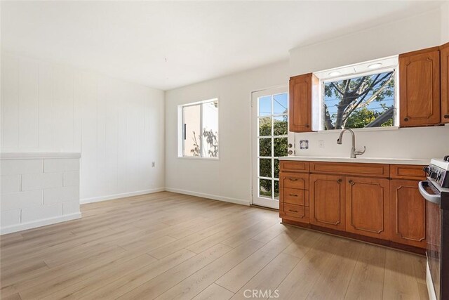 kitchen with sink, stainless steel electric range, and light hardwood / wood-style flooring