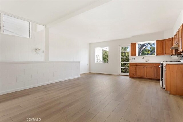 kitchen with sink, light hardwood / wood-style floors, and range