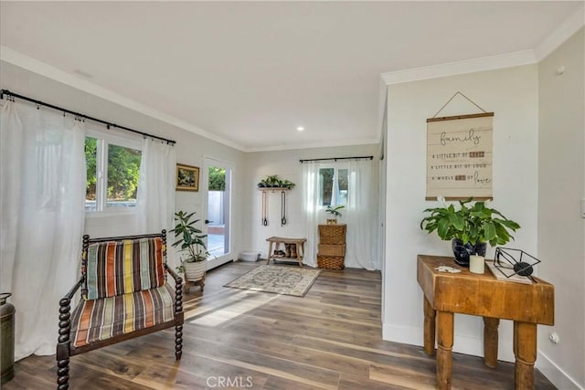 sitting room with ornamental molding and dark hardwood / wood-style floors