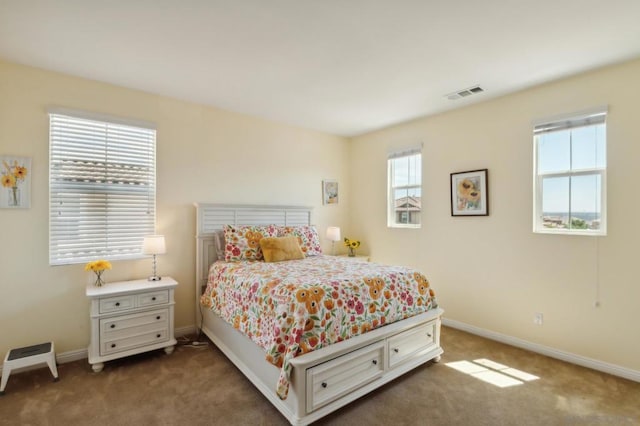 carpeted bedroom with multiple windows