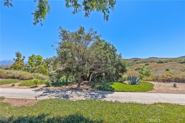 view of yard featuring a mountain view