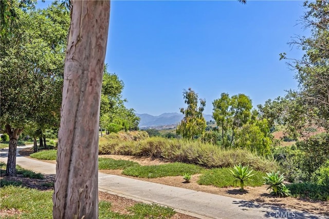 view of home's community featuring a mountain view