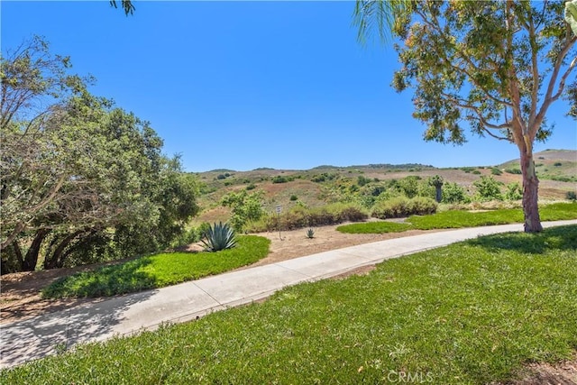 view of property's community featuring a lawn