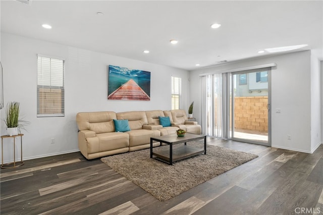 living room featuring dark wood-type flooring