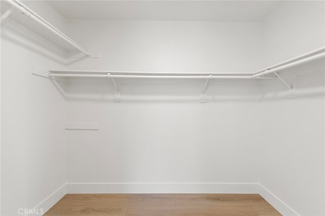 spacious closet featuring hardwood / wood-style floors