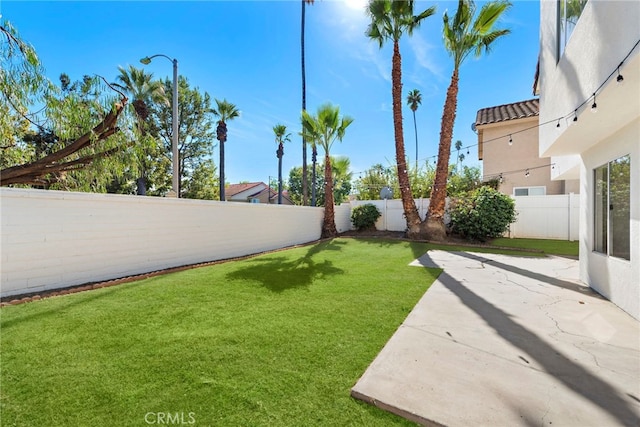 view of yard featuring a patio area