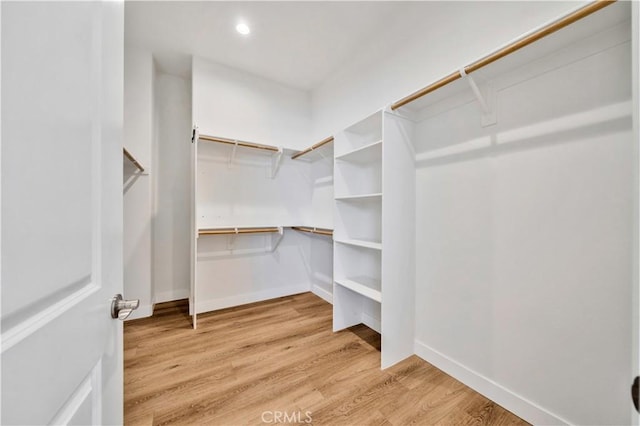 walk in closet with light wood-type flooring