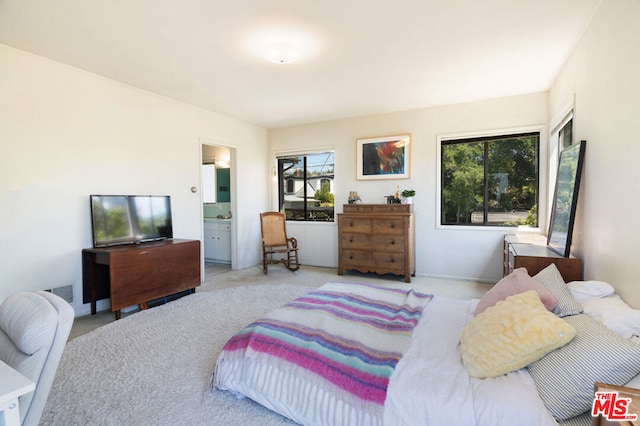 carpeted bedroom with multiple windows and ensuite bath